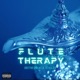 FLUTE THERAPY feat StillGo Single