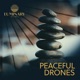 Peaceful Drones
