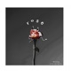 Rose Single