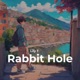 Rabbit Hole Single