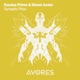 Synaptic Flow Single