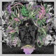 Camouflage EP