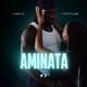 Aminata 2 Single