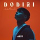 Dodiri Single