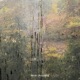 Nicer Acoustic Single