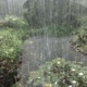 Rainhollow EP