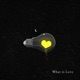 What Is Love Instrumental Single