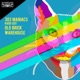 303 Maniacs Radio Edit Single