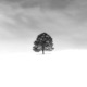 Drifting Through Time Single
