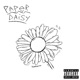 Paper Daisy Single