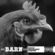 Barn feat OmarCameUp Camogod Single
