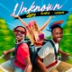 Unknown Remix feat Alfa Kat Lintonto Single