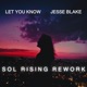 Let You Know Sol Rising Rework Single