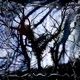 Lucid Dream Single