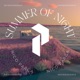 Summer Of Night Single
