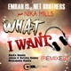 What I Want Remixes Single