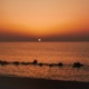 as the light fades Single