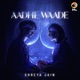 Aadhe Waade Single