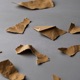 Torn Single