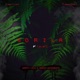 Gorila Single