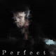 Perfect Single