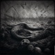 Waste Away feat harvest Single
