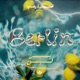 Berlin Single