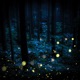 Night gatherings EP