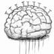 Brain Damage Single