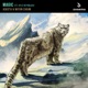 Magic feat Kyle Reynolds Single
