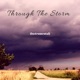 Through the Storm Instrumental Single