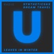 Leaves in Winter Single