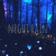 Night Rain Single