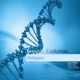 Genetic Evolution Remixes