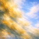 Stillness Single