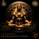 Introspection Single
