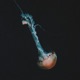 Save Me Poseidon Single