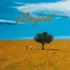 Khayaal Single