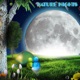 Nature Nights Single