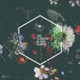 The Flowers In Our Hearts EP