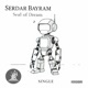 Seal of Dream Single