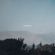 Clean Insight Single