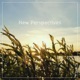 New Perspectives Single