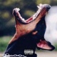 Big Talk Single