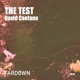 The Test Single