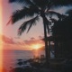Paradise Single