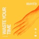 Waste Your Time Single