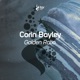 Golden Ratio Single
