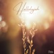 Hallelujah Acoustic Single