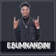 EBUMNANDINI Radio Edit feat Leon Lee Single